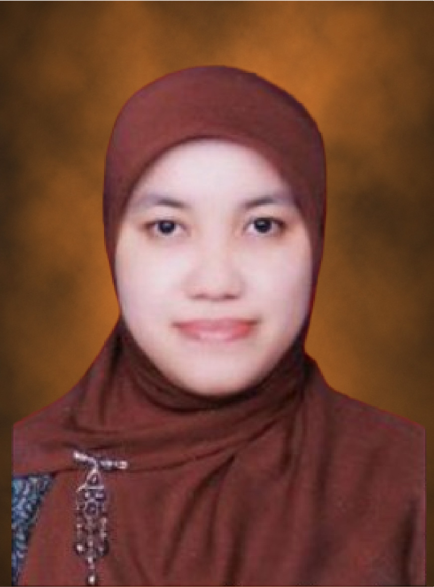 Allsela Meiriza, S.Kom., M.T.