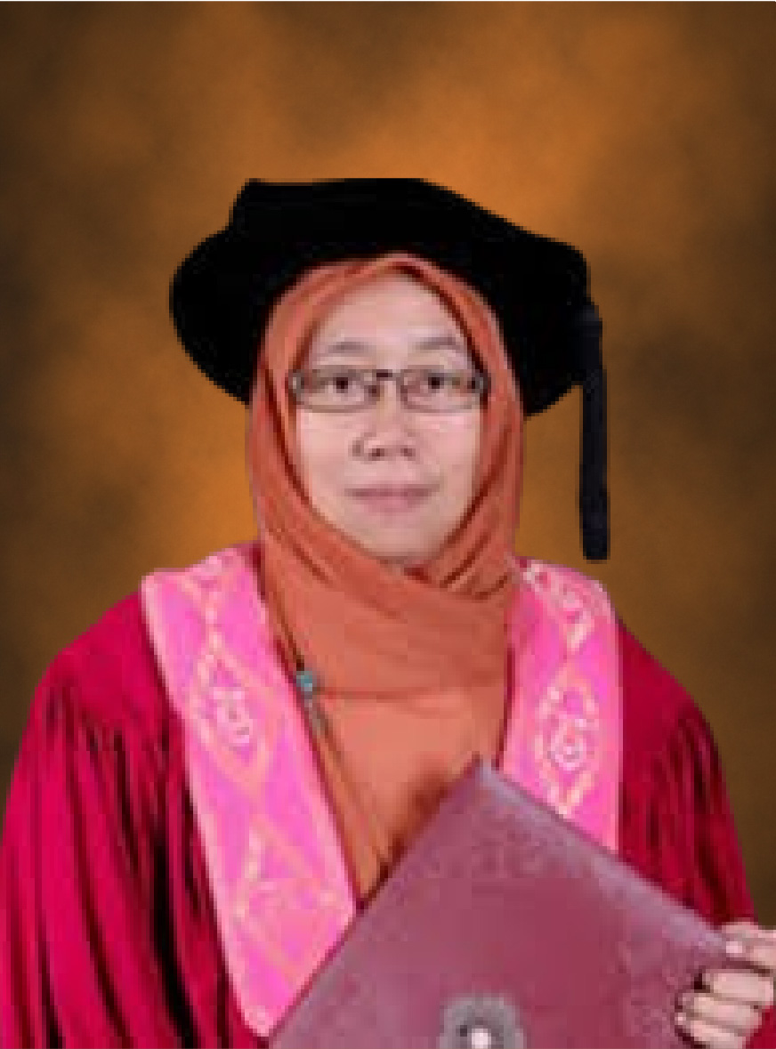 Prof. Dr. Ir. Siti Nurmaini, M.T.
